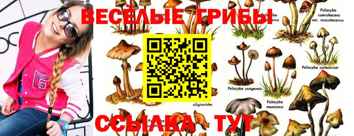 Галлюциногенные грибы прущие грибы Гусев